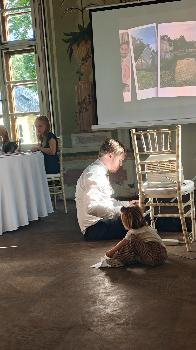 Wedding Photo